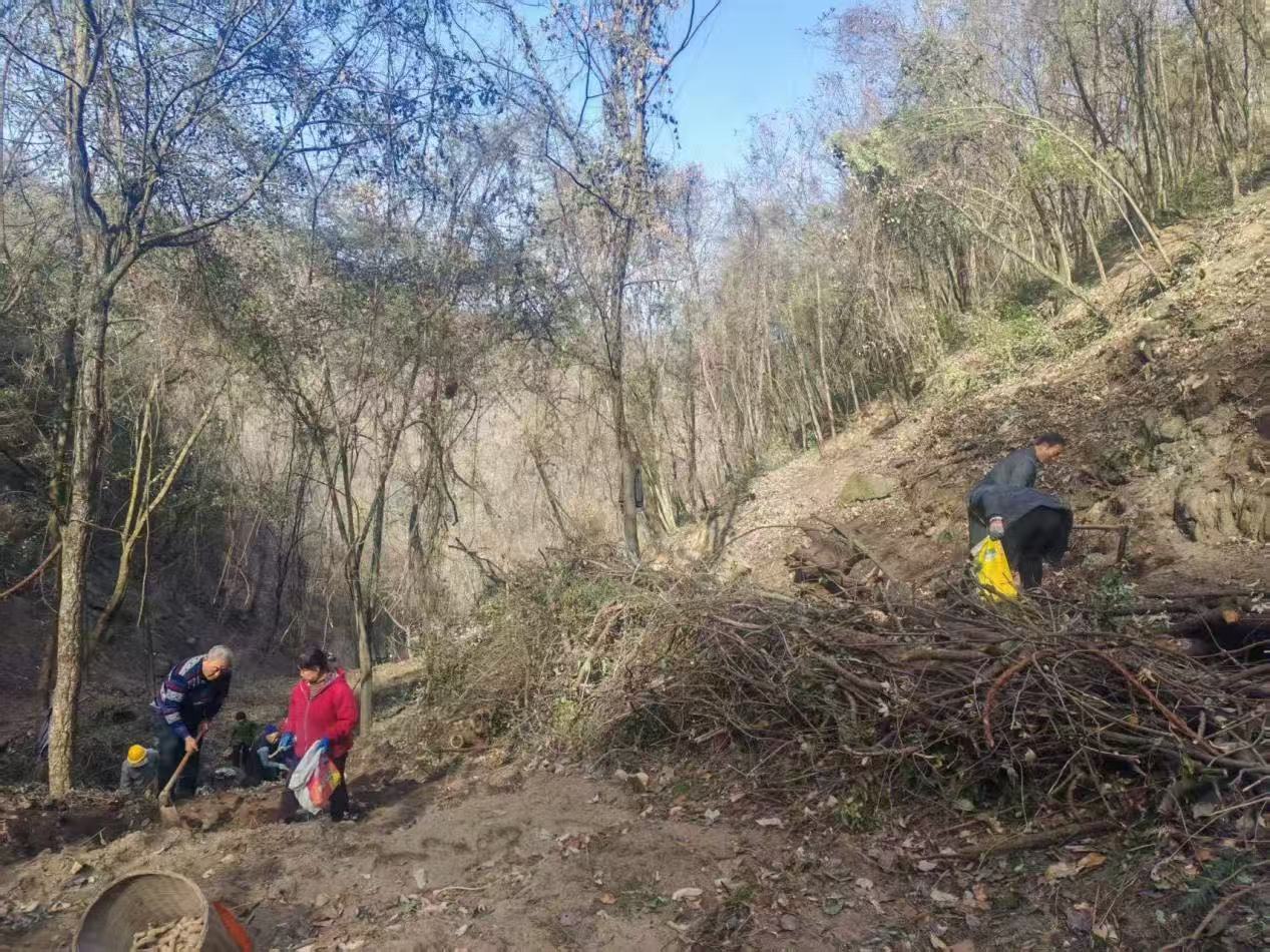 1765246296186022401.jpg 1765246296186022401.jpg