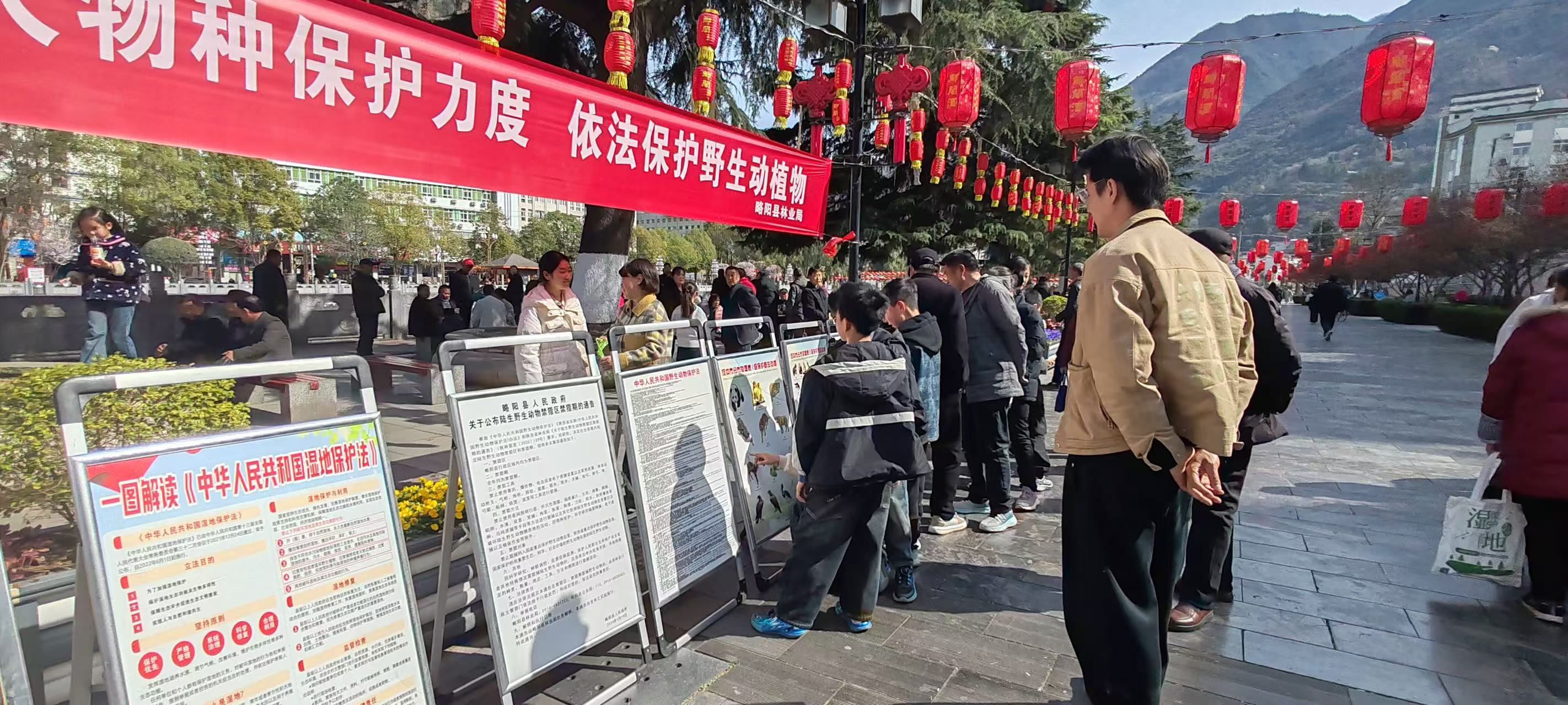 1773041340254058627.jpg 1773041340254058627.jpg