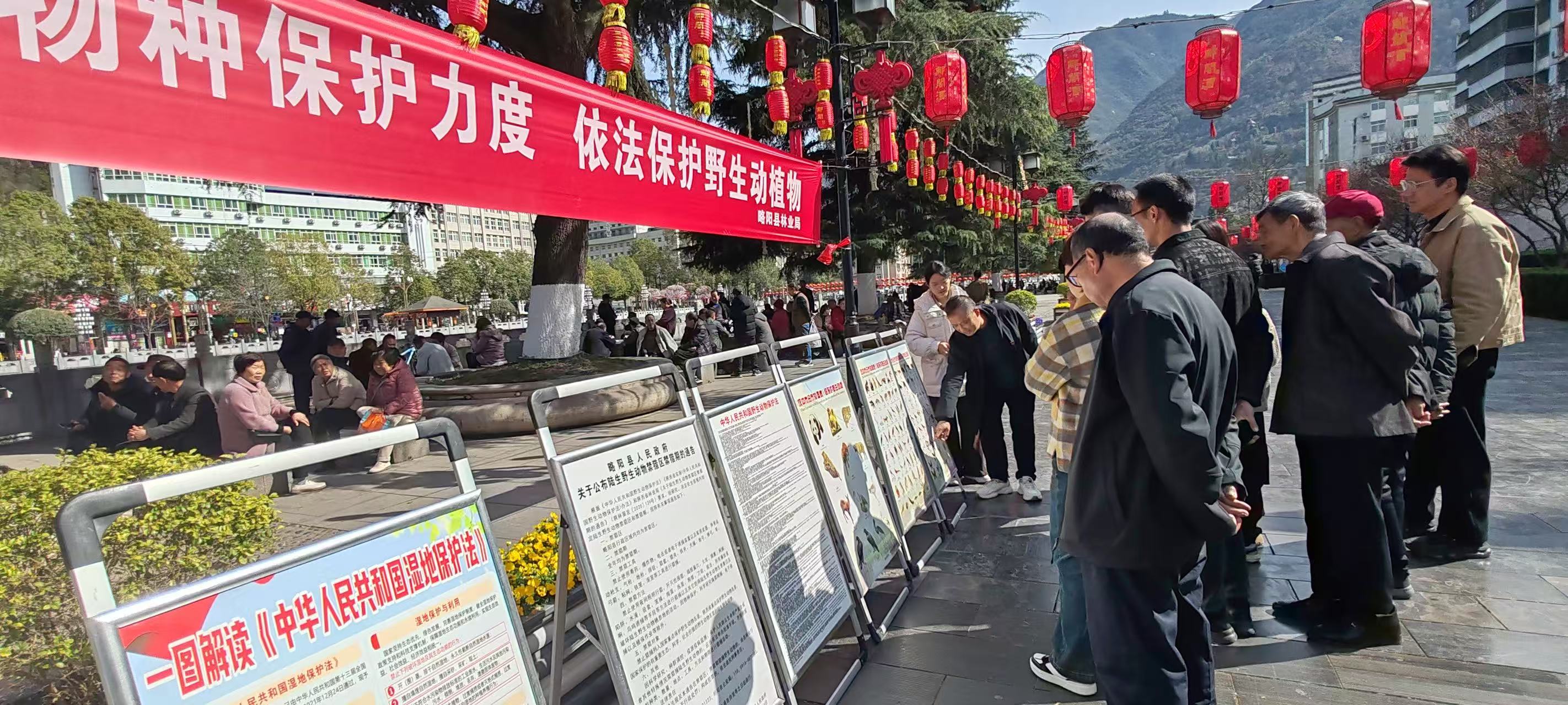 1773041230071041158.jpg 1773041230071041158.jpg