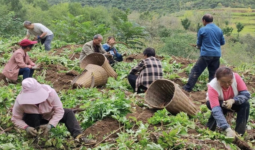 1763352415528028771.jpg 1763352415528028771.jpg