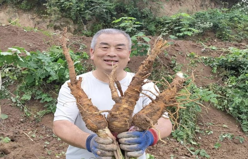 1763352426986058227.jpg 1763352426986058227.jpg