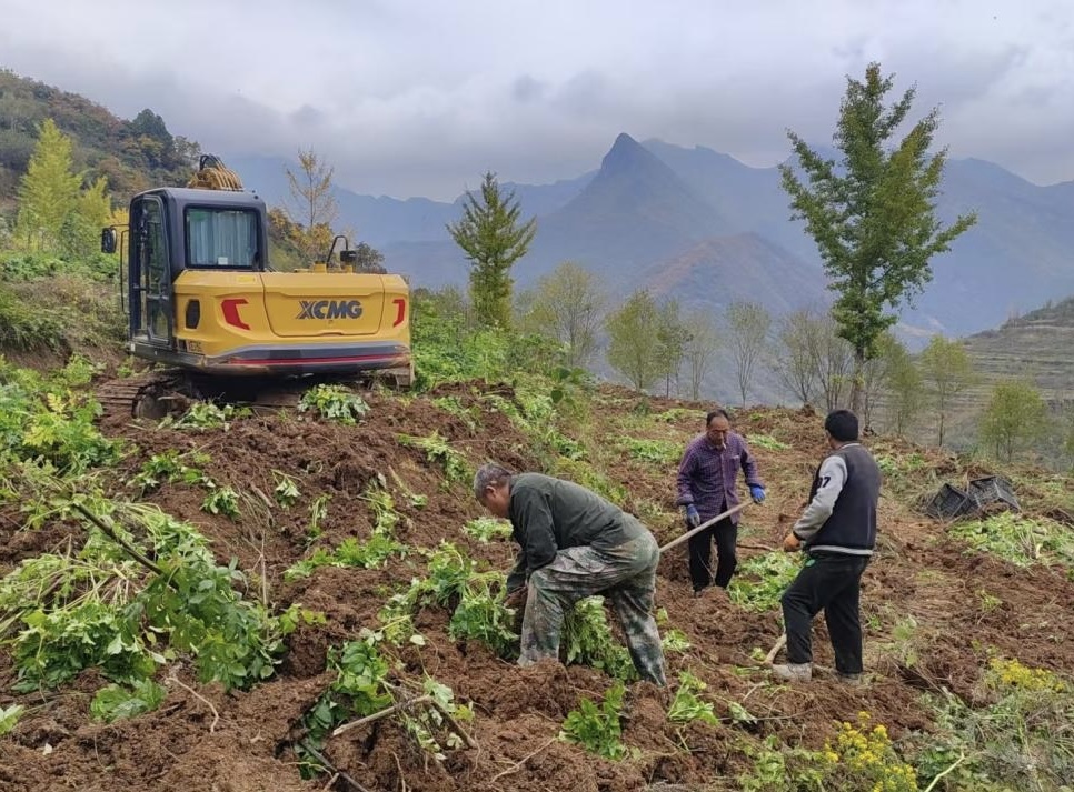 1763352438998049635.jpg 1763352438998049635.jpg