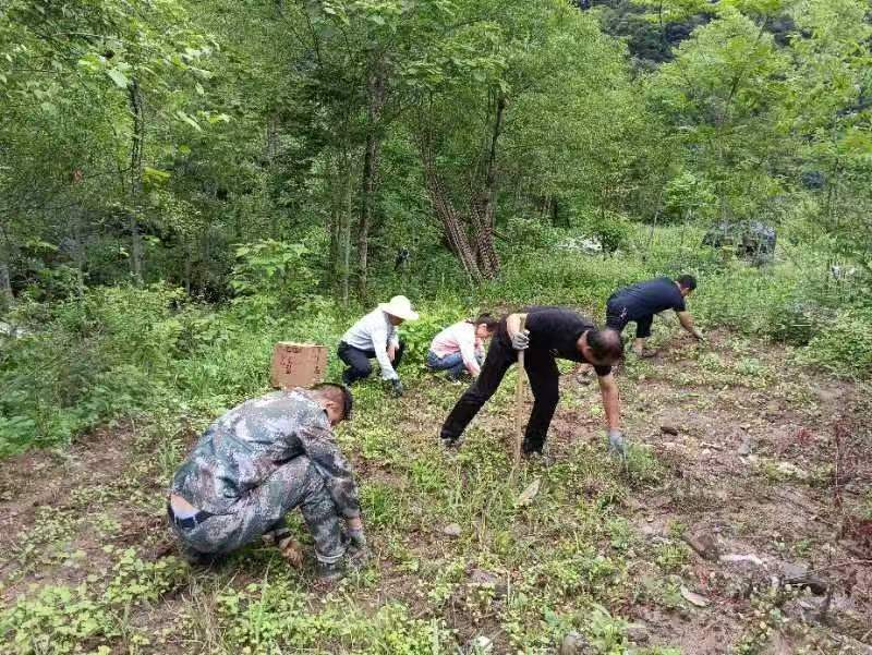 1763365384110091010.png 1763365384110091010.png