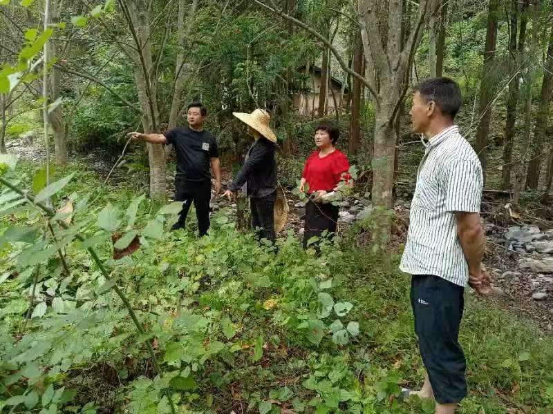 1763539130140002604.jpg 1763539130140002604.jpg