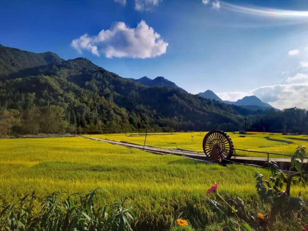 1763539406377007930.png 1763539406377007930.png