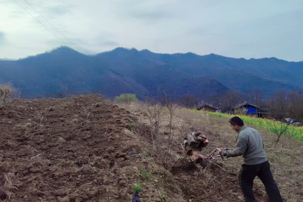 1772612566252094578.jpg 1772612566252094578.jpg